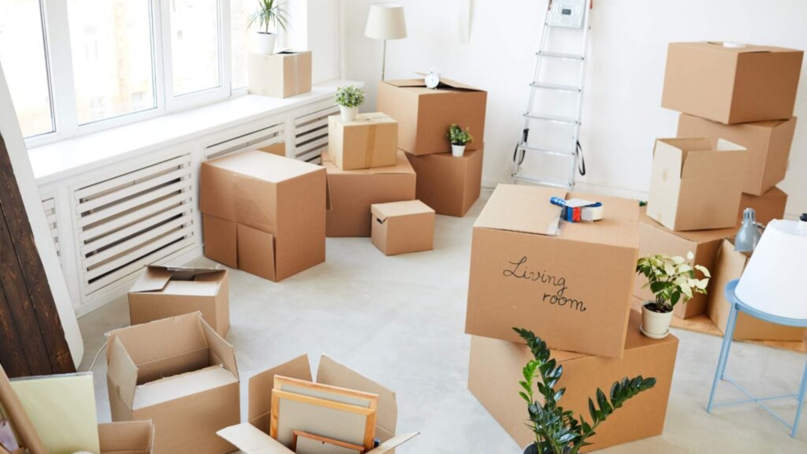 International Packers and Movers