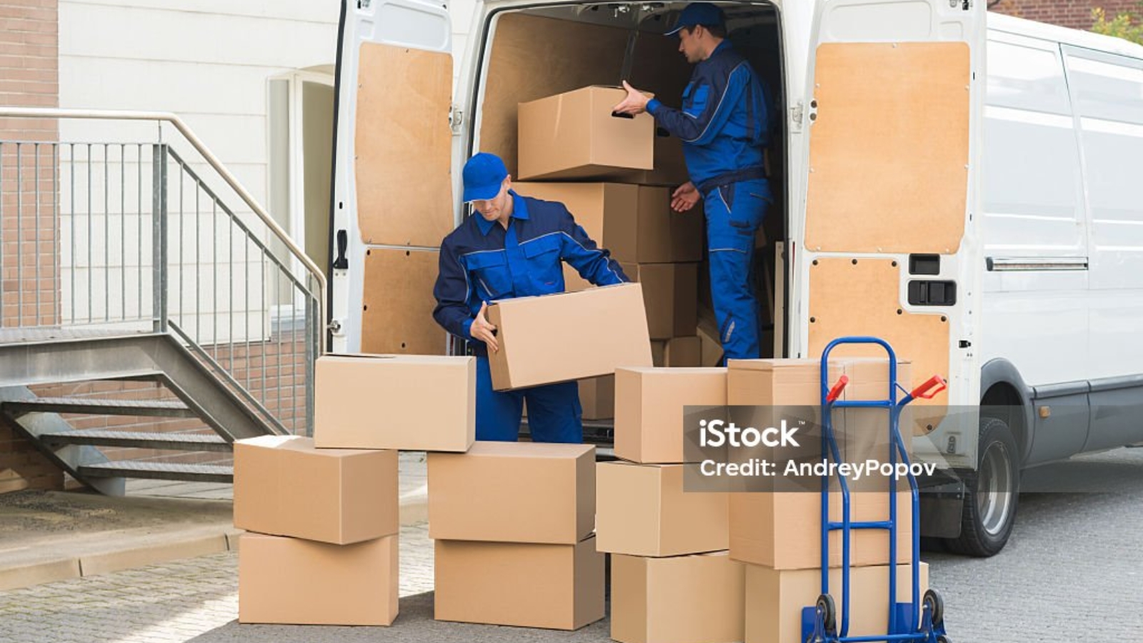 Movers and Packers